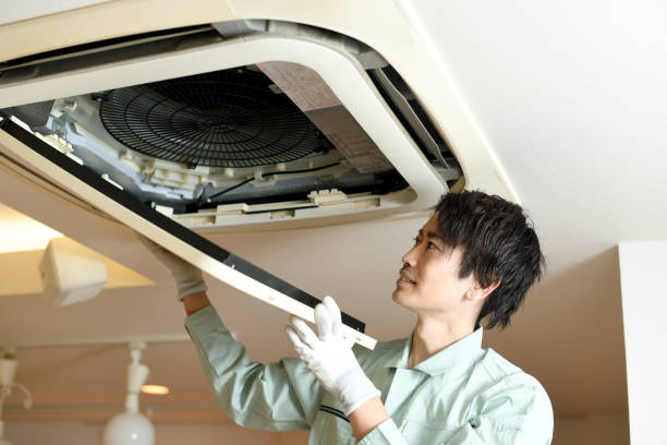 Best Home Air Vent Cleaning  in Fair Plain, MI